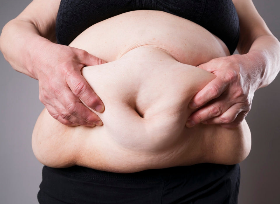 South Korea: Lingzhi reduces the high-fat diet-induced obesity by regulating carbohydrate and lipid
