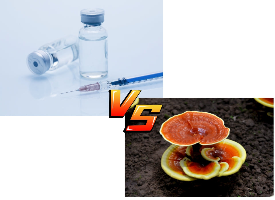 WHY DO WE NEED TO GET VACCINATED AND EAT GANODERMA LUCIDUM