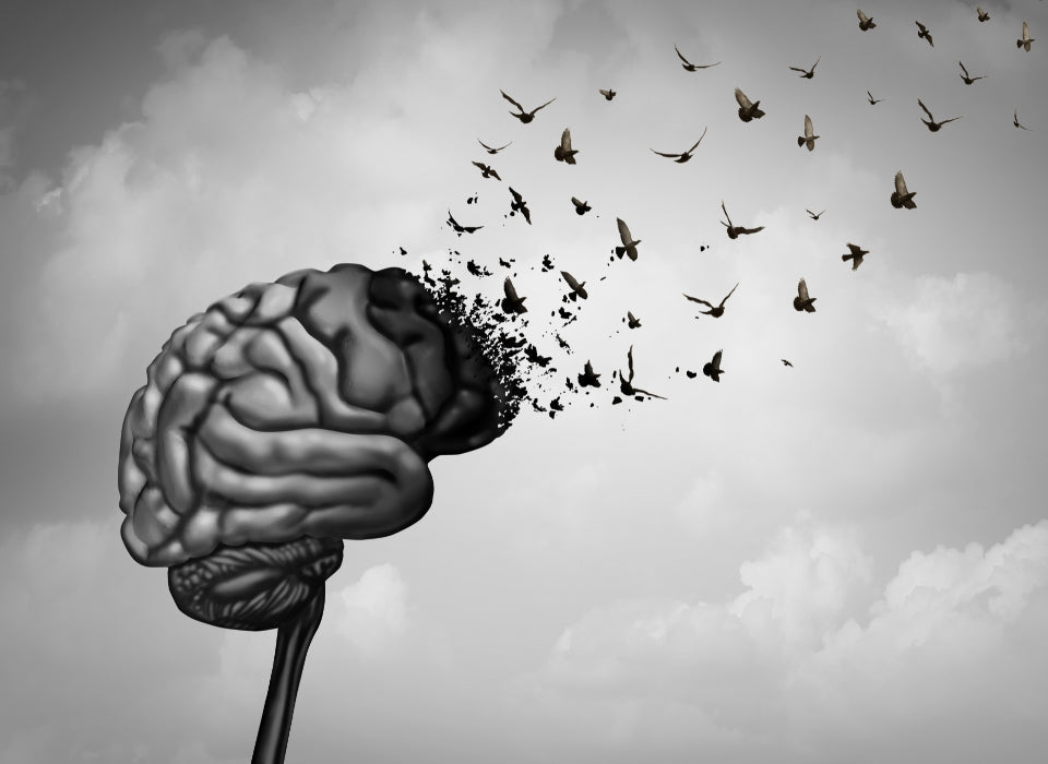 TURKEY: GANODERMA LUCIDUM POLYSACCHARIDES ACCELERATE RECOVERY FROM TRAUMATIC BRAIN INJURY