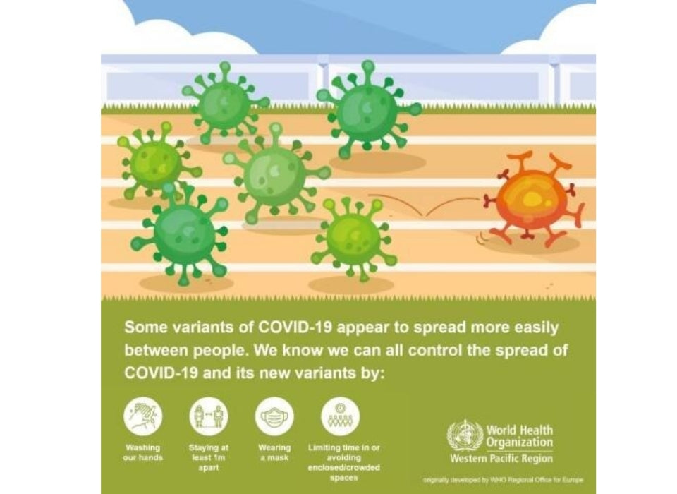 GANODERMA LUCIDUM SHOULD HELP FIGHT THE NOVEL CORONAVIRUS