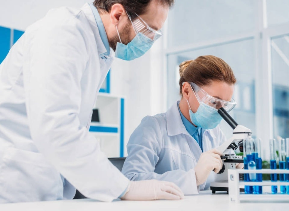 THE EFFECTS OF GLTS IN LUNG CANCER TUMOUR-BEARING NUDE MICE