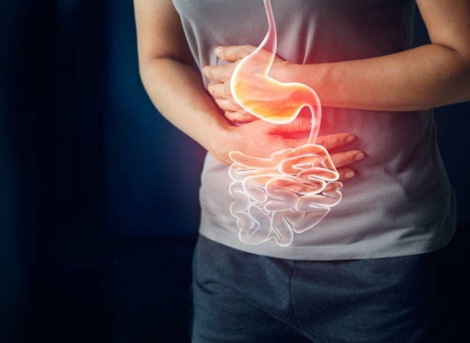 WHICH FOOD CAN PREVENT STOMACH CANCER?