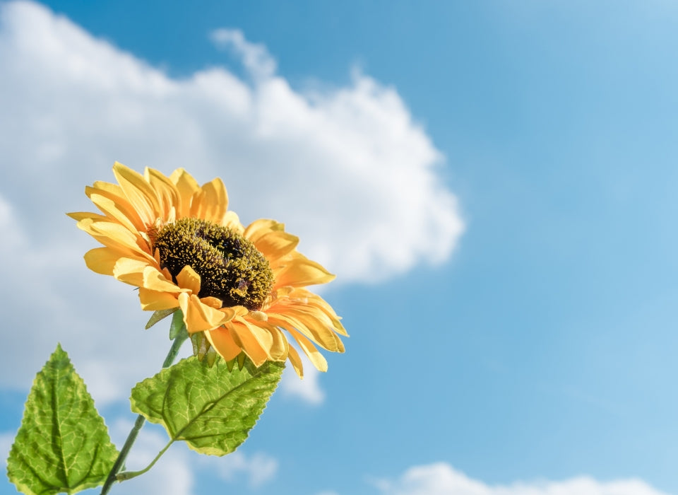 A GUIDE TO VASCULAR CARE IN SUMMER