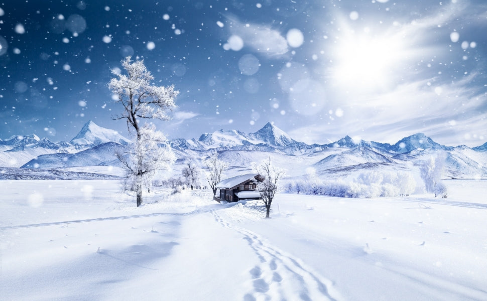 MAJOR SNOW, A SOLAR TERM FOR WARM INVIGORATION