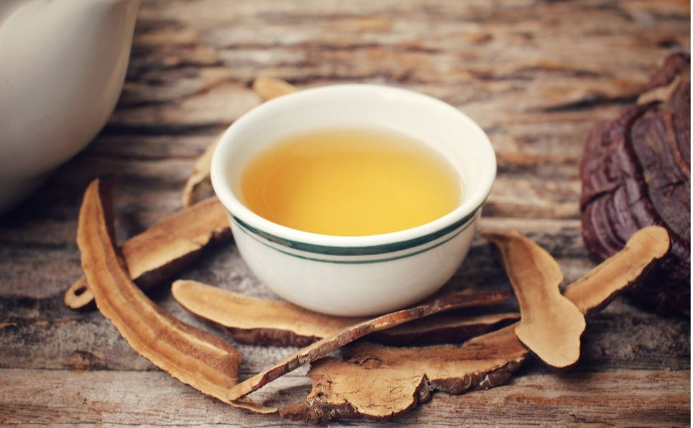 IS IT OKAY TO DRINK REISHI MUSHROOM WATER EVERY DAY?