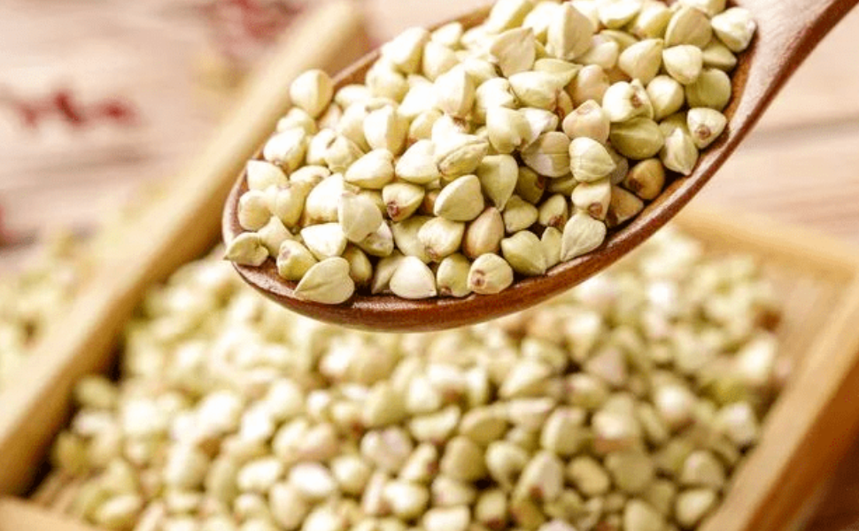 TALKING ABOUT HEALTH PRESERVATION IN GRAIN IN EAR