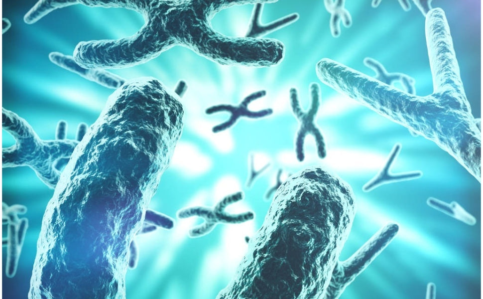 IS CANCER REALLY HEREDITARY?