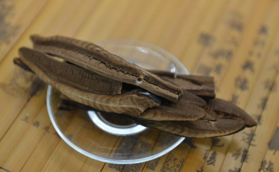 WHAT HAPPENS TO THOSE WHO OFTEN EAT REISHI?