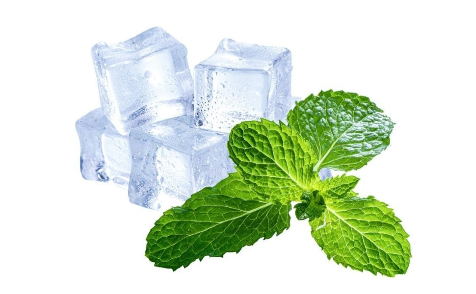 PROTECT SPLEEN & STOMACH HEALTH WITH TCM SUMMER CARE TIPS