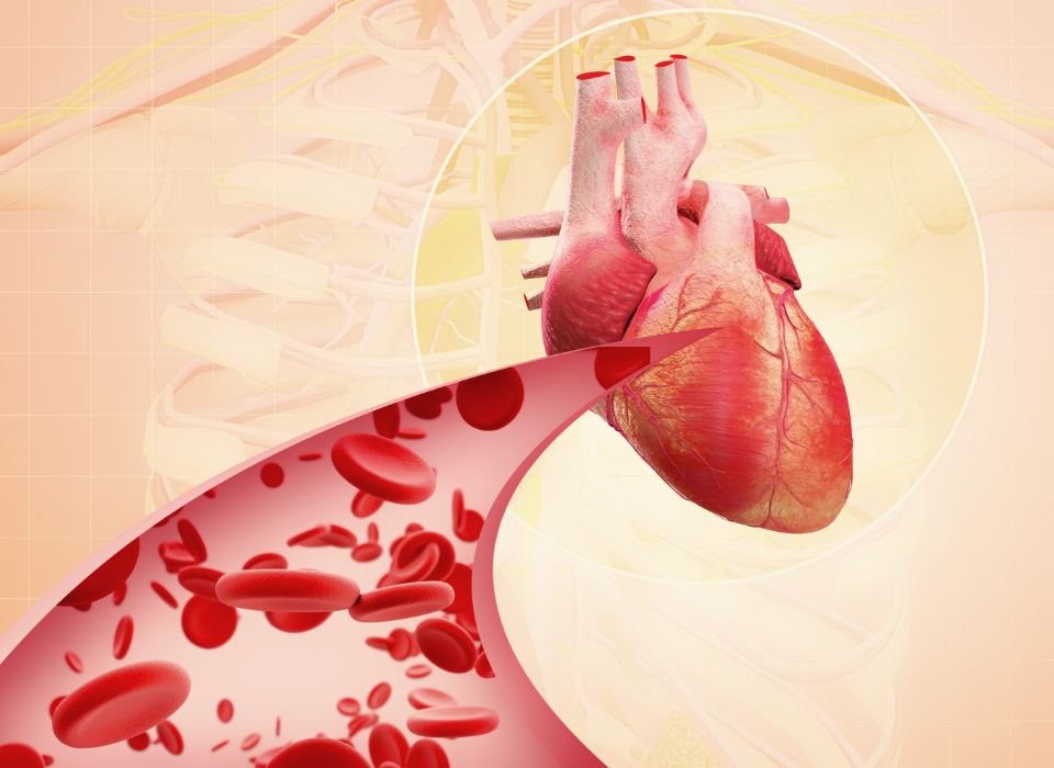 WHY DO SOME YOUNG PEOPLE SUFFER FROM MYOCARDIAL INFARCTION?