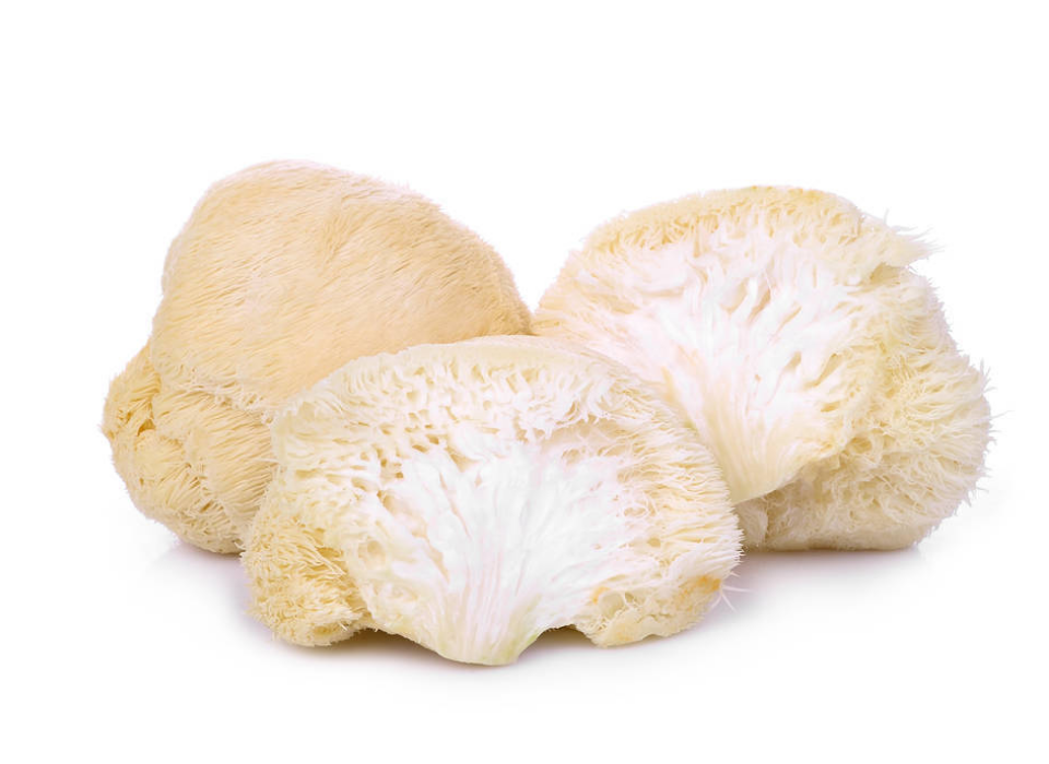 LION’S MANE MUSHROOM