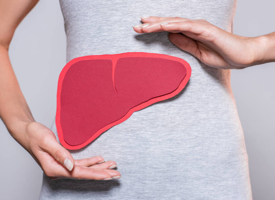 LINGZHI MAY AMELIORATE DRUG-INDUCED HEPATOTOXICITY WU TINGYAO