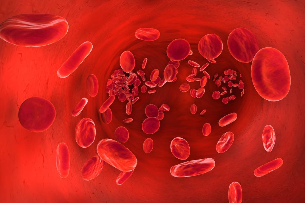 REISHI COMPOUNDS ELIMINATE QUIESCENT SLOW-CYCLING CELLS