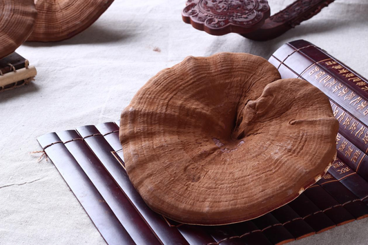 Reishi Coffee
