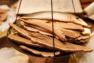 Lingzhi