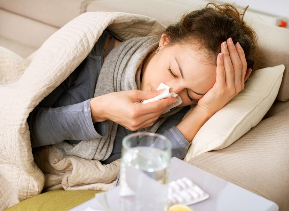TREATING FLU WITH REISHI TRITERPENES THAT INHIBIT NEURAMINIDASE
