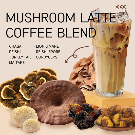 best lion's mane coffee