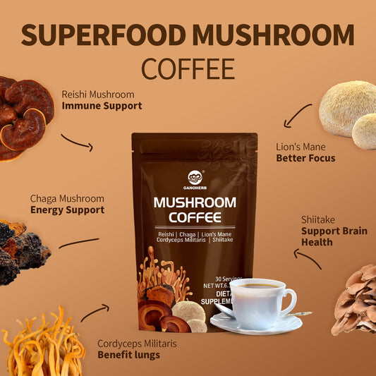 functional mushroom coffee