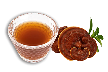 reishi