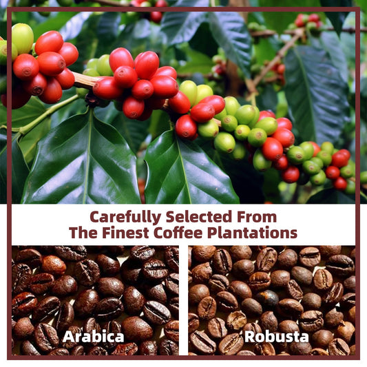 vegan mushroom coffee