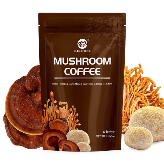 mushroom coffee supplement