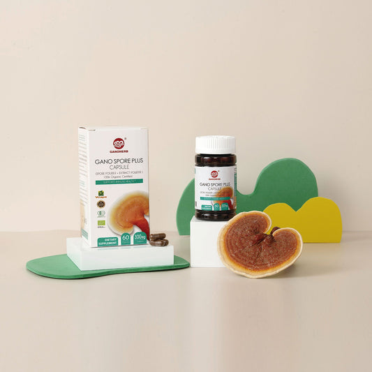 mushroom extract reishi