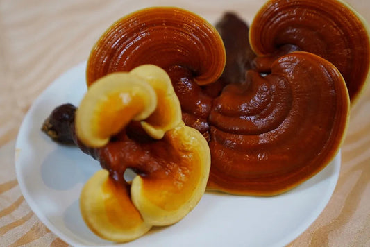 Lingzhi: A Symbol of Health and the Dragon Boat Festival