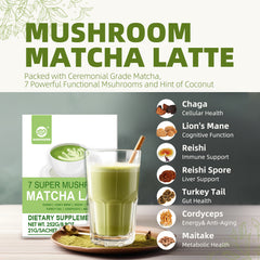 Mushroom Matcha Powder Latte Mix，7 Superfood Mushrooms (Pack of 3)