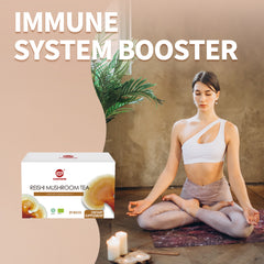 GANOHERB Reishi Mushroom Tea (25 Count)