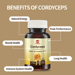 Cordyceps Militaris Capsules with 31% Beta Glucan for Performance,