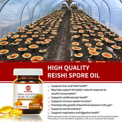 Reishi Mushroom Spore Oil (30 Veggie Softgels)