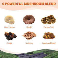Reishi Lycopene Capsules and Mushroom Complex Capsules