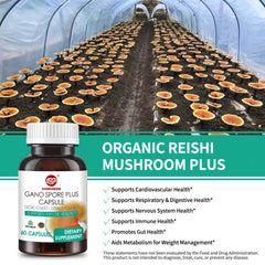 Reishi Mushroom Spore Plus Capsules (60 Veggie Capsules)