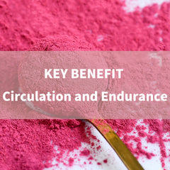 Beet Root Powder, High Concentrated Organic Beet Juice Powder with Reishi Mushroom Spore Powder Extract, Vegan