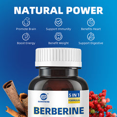 Berberine HCI Supplements, 5 in 1 Complex, 1800mg 60 Vegan Capsules