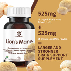 Lions Mane Supplement Capsules 6300mg, 11:1 Powerful Nootropic Mushroom Extract Brain Supplements for Memory and Focus, Cognitive and Immune Support Supplement, 90 Vegan Capsules