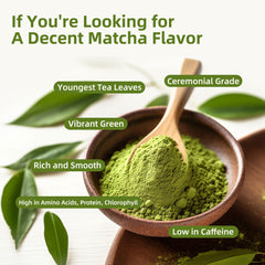Mushroom Matcha Powder Latte Mix，7 Superfood Mushrooms (Pack of 3)