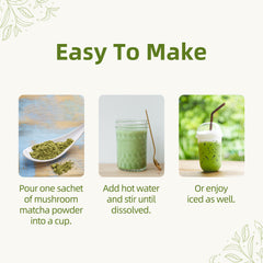 Mushroom Matcha Powder Latte Mix，7 Superfood Mushrooms (Pack of 3)