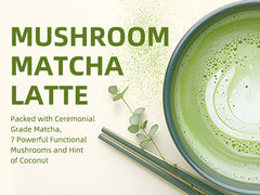 Mushroom Matcha Powder Latte Mix，7 Superfood Mushrooms (Pack of 3)